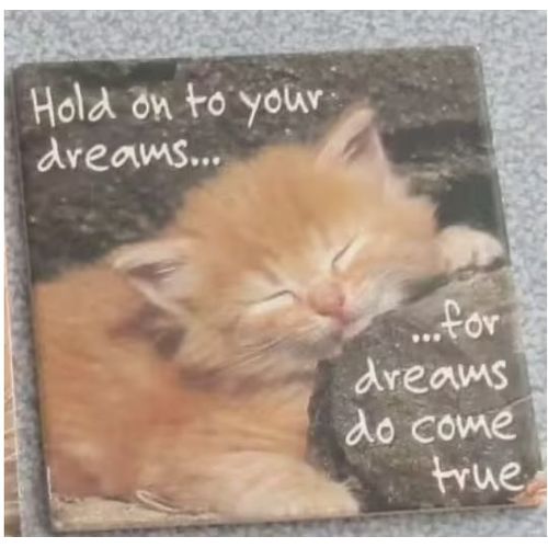Aimant/Magnet Carton 7x7cm Avec La Frimousse D'un Adorable Chaton Roux Endormi Et Un Texte En Anglais Sur Les Rves-Dos En Partie Aimant-Images & Editions