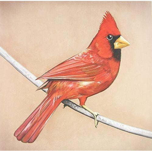 Alexisonfire - Old Crows / Young Cardinals [Vinyl Lp] - Alexisonfire