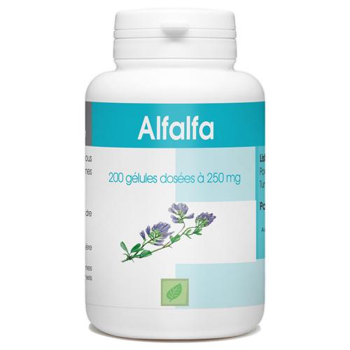 Alfalfa - 200 Glules  250 Mg