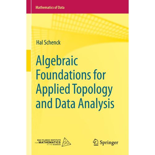 Algebraic Foundations For Applied Topology And Data Analysis    Format Broch 