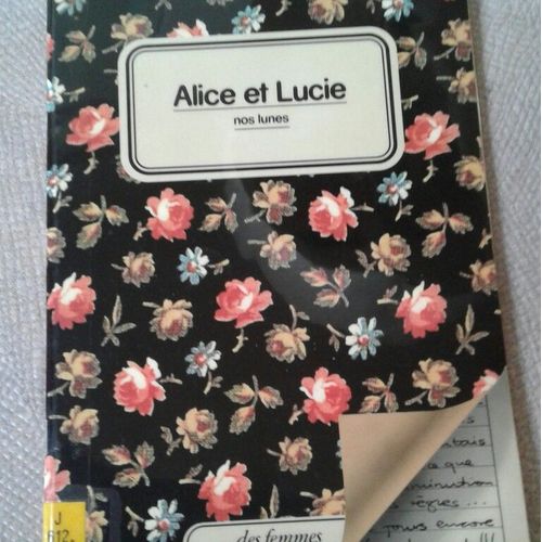 Alice  Et Lucie  Nos Lunes   de Adela Turin  Format Album 