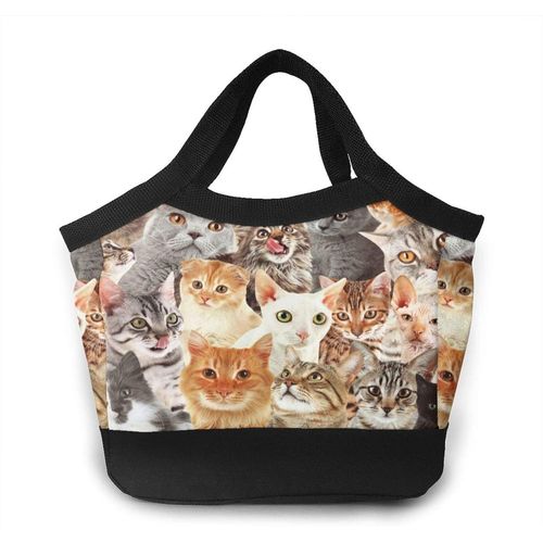 Alien Planet Star System In Space Sac  Lunch Portable Sacs Fourre-Tout - Toutes Sortes De Chats Adorables