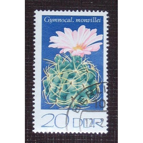 Allemagne Rda Ddr N 1605 Oblitr, 20p  Cactes Cultivs En Rda 