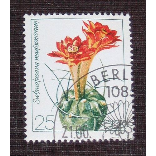 Allemagne Rda Ddr N 2448 Oblitr, 25p  Culture Des Cactes 