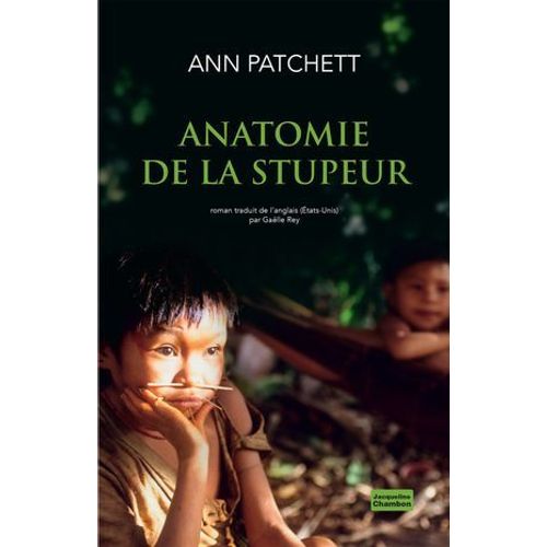 Anatomie De La Stupeur  