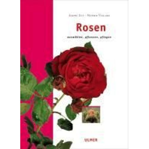 Rosen   de andr eve  Format Broch 