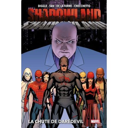 Shadowland : La Chute De Daredevil  