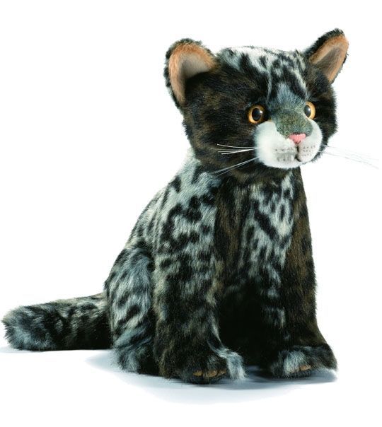 Anima Peluche Chaton Tigre Assis 22cm Rakuten