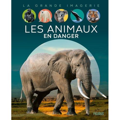 Les Animaux En Danger   de Boccador Sabine  Format Album 