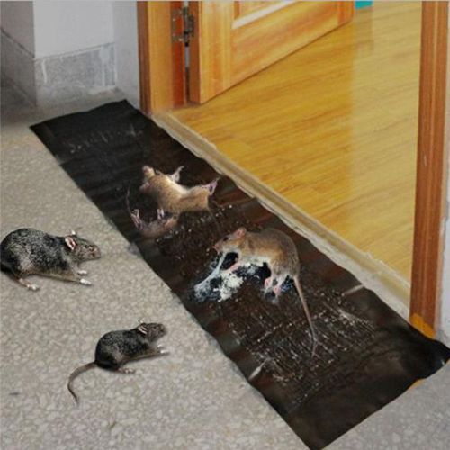 Anti Rat Grand Colle Collante Tapis Rongeurs Taupes Pige  Souris Rat Pige  Souris Noir Invisible de Pige de Colle de Souris
