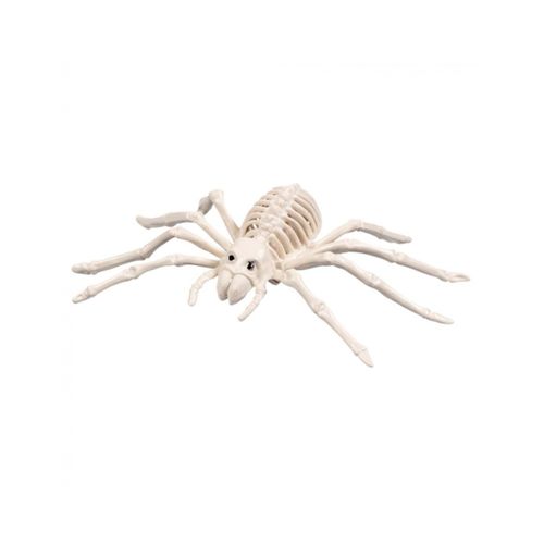 Araigne Squelette 35 Cm