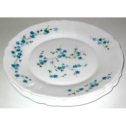 Assiette Arcopal Plates  Opaline Myosotis Veronica 23 Cm Blanc Et Bleu Vaisselle Luminarc  Incassable   Resistante  Au Variation Temperature