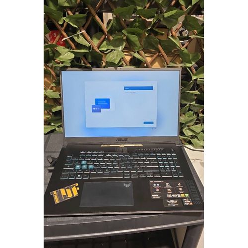Asus TUF Gaming A17 TUF767N