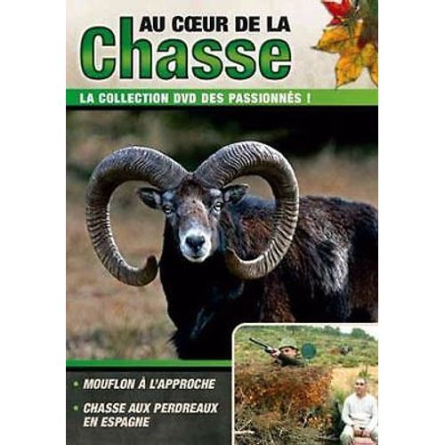 Au Coeur De La Chasse : Mouflons  L'approche - Chasse Aux Perdreaux En Espagne de Chasse