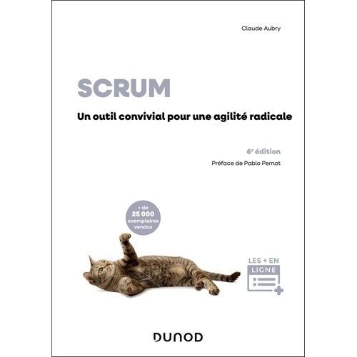 Scrum - Un Outil Convivial Pour Une Agilit Radicale    Format Grand Format 