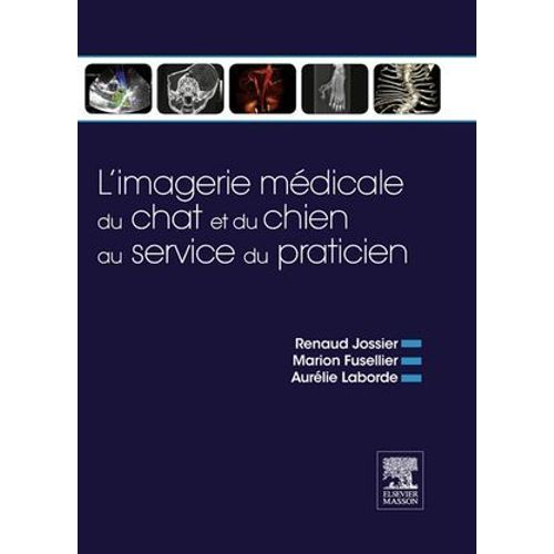 L'imagerie Mdicale Du Chat Et Du Chien Au Service Du Praticien  