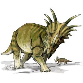Autocollant sticker dinosaure dino jurassique deco enfant chambre styracosaurus 