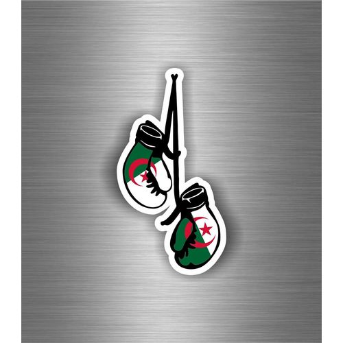 Autocollant Sticker Voiture Moto Gant De Boxe Drapeau Jdm Algerie Algerien
