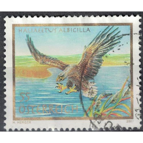 Autriche 2007 Oblitr Used Bird Oiseau Haliaeetus Albicilla Aigle Pygargue  Queue Blanche Su