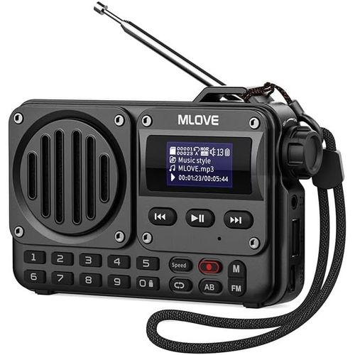 BAERTMY-Bv800 Haut-Parleur Bluetooth Portable Avec Radio Fm, cran Lcd, Prend En Charge La Lecture Via Bt 5.0, Aux-In, Cl Usb Et Carte Tf Pour Profiter De La Musique En Dplacement