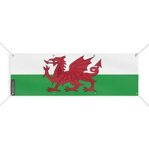 Bannire Drapeau Du Pays De Galles 8 Oeillets 110x330 Cm