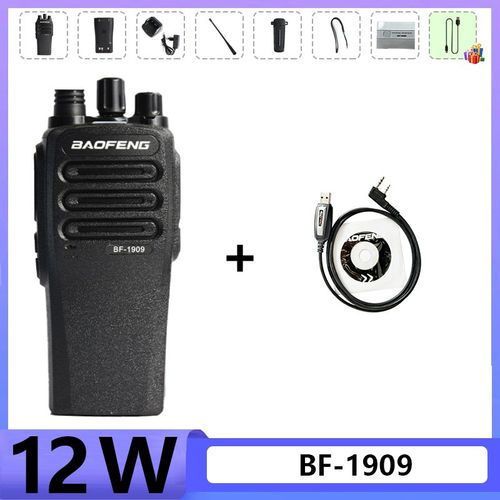 BaoFeng BF-1909 talkie-walkie 12W haute puissance Radio pntrante professionnelle prend en charge la Charge de Type C longue porte Portable puissant - Type USB C-Program-EURO