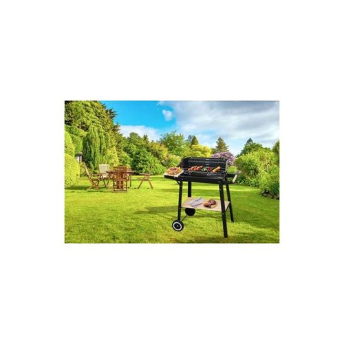 Barbecue  Charbon Proline Charcb Noir