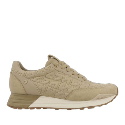 Baskets Femme Gioseppo Svit