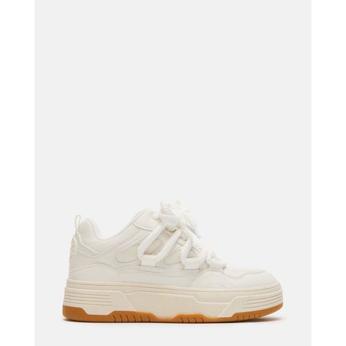 Baskets Femme Steve Madden Boomer