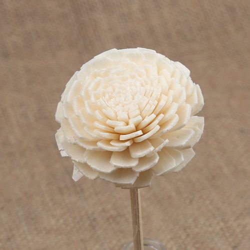 Btons Diffuseur D'arme En Forme De Fleur, 5 Pices, Accessoires De Diffuseur D'arme De Chambre  Coucher, Bton En Rotin Chaud