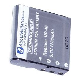 Batterie pour CASIO EXILIM PRO EX-P700 Rakuten