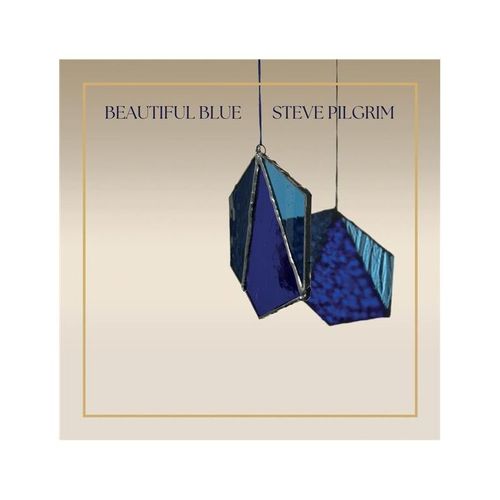 Beautiful Blue - Vinyle 33 Tours - Steve Pilgrim
