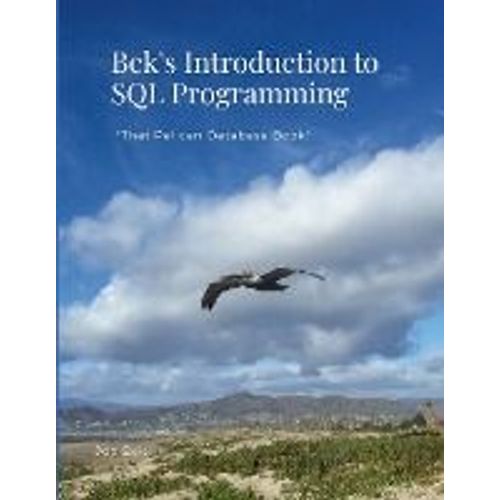Bek's Introduction To Sql Programming   de Jon Bek  Format Broch 