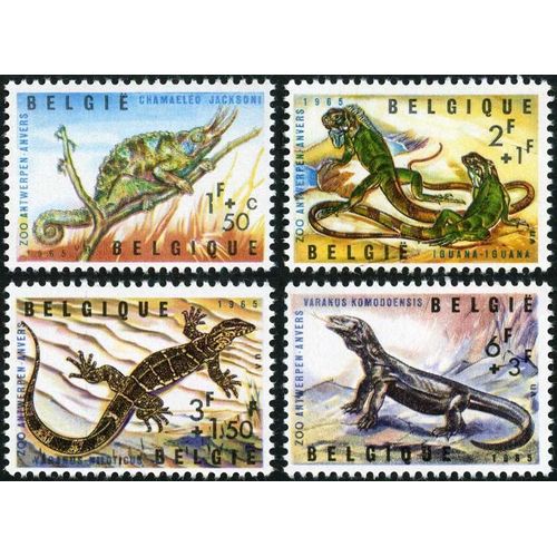 Belgique 1965, Zoo D'anvers, Trs Beaux Timbres Neufs** Luxe Yvert 1344 Camlon, 1345 Iguane, 1346 Varan Du Nil Et 1347 Varan De Komodo.