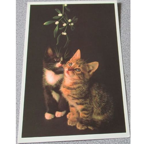 Belle Image Cartonne Avec 2 Chatons L'un Noir/Blanc Et L'autre Tigr Yeux Levs Vers Une Branche De Gui Place Au-Dessus De Leur Tte-15x23cm- Encadrer Pour Collection De Chats Ou Plaisir De L'image