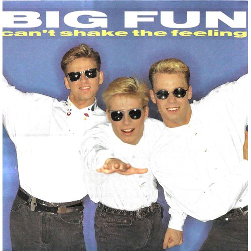 Big Fun : Can't Shake The Feeling (Stock - Aitken - Waterman) 3'57 / Don't Say It's Over (Bell - John - Creswick - Gillespie) 3'51 - 