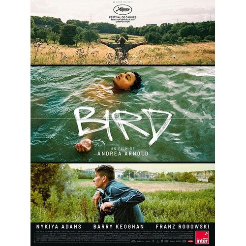 Bird - Vritable Affiche De Cinma Plie - Format 40x60 Cm - De Andrea Arnold Avec Nykiya Adams, Barry Keoghan, Franz Rogowski - 2024