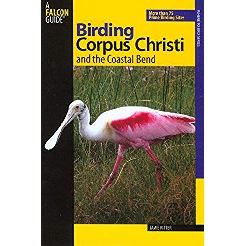 Birding Corpus Christi And The Coastal Bend    Format Broch 
