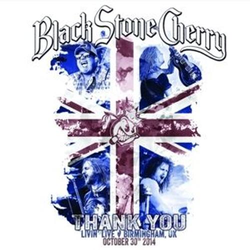 Black Stone Cherry - Thank You: Livin' Live (+ Audio-Cd) de Black Stone Cherry