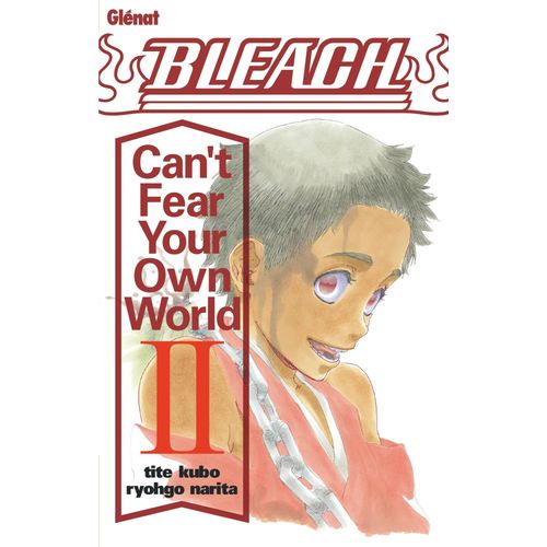 Bleach - Can't Fear Your Own World - Tome 2 : Can't Fear Your Own World    Format Poche 
