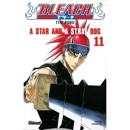 Bleach - Tome 11  