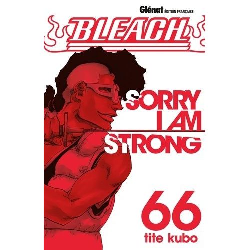 Bleach - Tome 66 : Sorry I Am Strong    Format Tankobon 