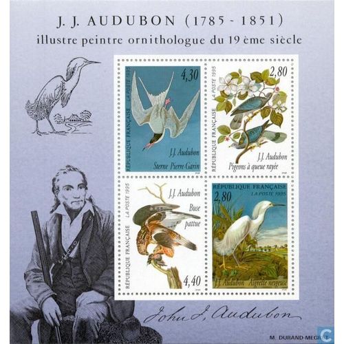Bloc 18 - Jj Aubudon Peintre Ornithologue - Sterne Pierre Garin - Pigeon A Queue Rayee - Buse Pattue - Aigrette Neigeuse