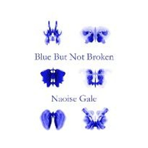 Blue But Not Broken   de Naoise Gale  Format Broch 