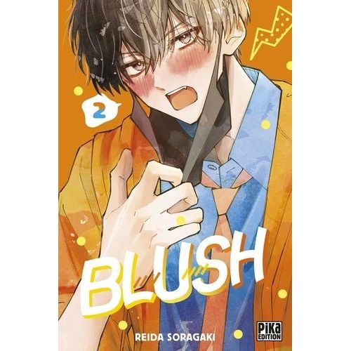 Blush - Tome 2    Format Tankobon 