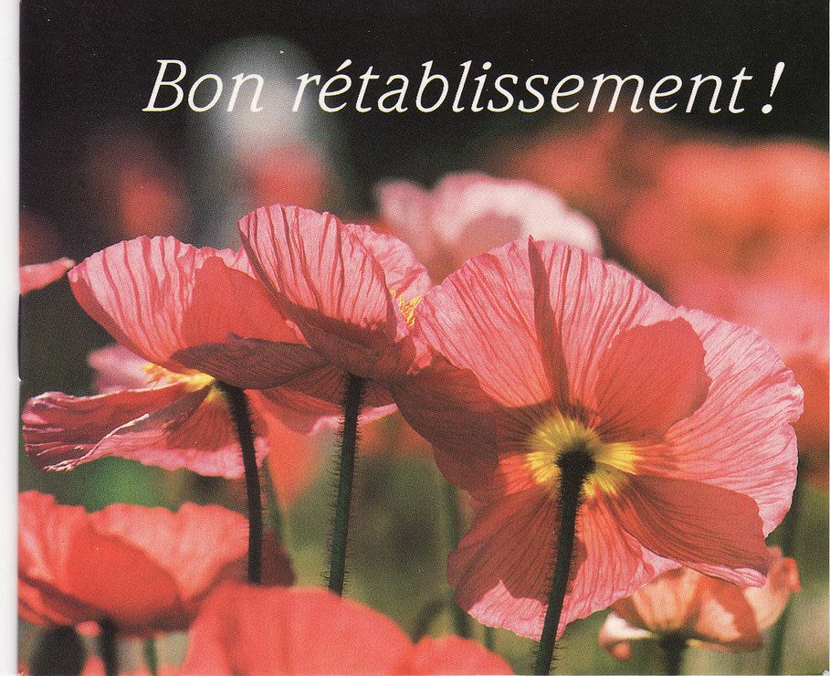 Bon Retablissement Litterature Rakuten