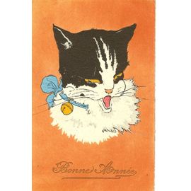 Bonne Annee Portrait De Chat Au Collier Et Grelot 19 Rakuten