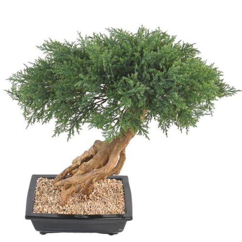 Bonsa Genvrier Artificiel H 60 Cm D 60 Cm En Pot