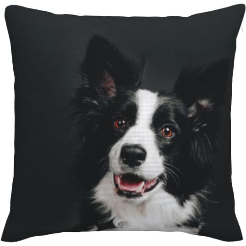 Border Collie Smiles Happy Dog Housse De Coussin Imitation Lin - Taie D'oreiller Dcorative - Housse De Coussin Carre Pour La Maison, Le Canap, La Chambre  Coucher, Le Salon - N