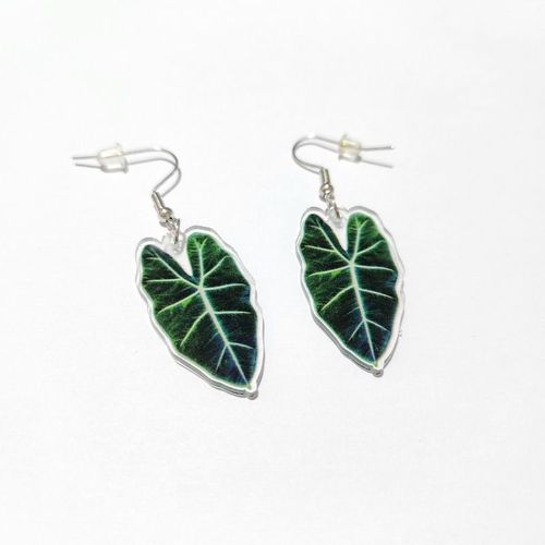 Boucles D'oreilles En Acrylique Pour Femmes, Rose, Vert, Color, Cuir Chevelu, Mignon, Esthtique, Monstera, Vacances D't, Pendentif Feuilles, Mode 2022